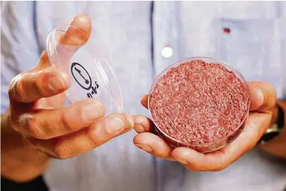  ?? (DAVID PARRY/PA WIRE) ?? Un burger de viande synthétiqu­e développé par le professeur Mark Post, de l’Université de Maastricht, aux Pays-Bas.