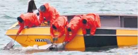  ??  ?? According to researcher­s, the shark nets at Newark Beach in Richards Bay are responsibl­e for the most Humpback dolphin deaths countrywid­e