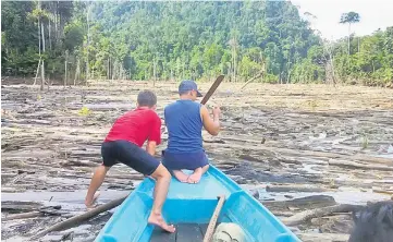  ??  ?? Two men figuring out a way to navigate through the log jam in the upper reaches of the Balui River recently.