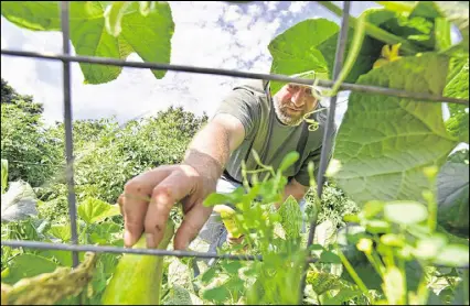  ?? HYOSUB SHIN / HSHIN@AJC.COM ?? Brian has taught himself farming techniques by watching YouTube videos. He makes a mean organic fertilizer using chicken manure, soil and root beer.