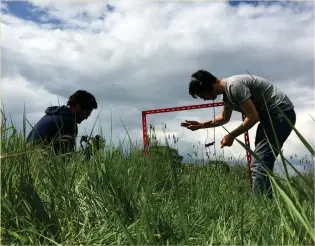  ??  ?? Right: Rob St John experiment­s with contact mics on a planning frame, filmed by Mario Cruzado
Below: The authors recording at the Aldborough amphitheat­re, in a Mario Cruzado film still