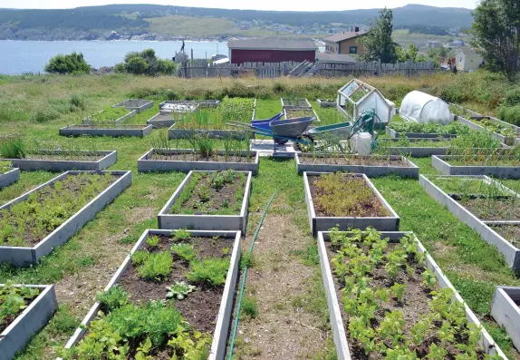  ??  ?? The vegetable beds, reaching toward the sea.