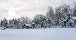  ??  ?? This was the scene Monday morning outside Salina Bertin's window in Lorne, N.B. Mother Nature was playing favourites — the weekend storm whitened the landscape in some parts of Atlantic Canada, while others enjoyed a free car wash.