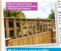  ??  ?? Add more plant power by topping your fence with trellis – then just add climbers!