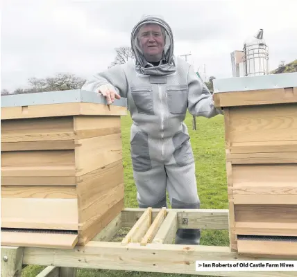  ??  ?? > Ian Roberts of Old Castle Farm Hives