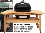  ??  ?? HOT PROPERTY: Barbecues like these costly ceramic eggs should be insured