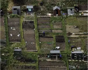  ??  ?? Autumn is the ideal time to knock an allotment into shape