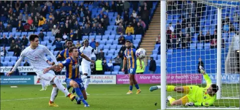  ?? ?? Strikers: Slobodan Tedic, above, comes close to his first Reds goal at Shrewsbury. Left: James Norwood.
