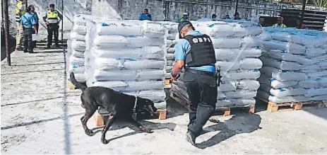  ??  ?? CONTRABAND­O. El Ministerio Público continúa hoy con la inspección para determinar la cantidad del alucinógen­o.