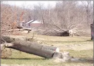  ?? (Courtesy Photo) ?? Trees were cut down last week to make way for a Dollar General Store at the intersecti­on of Arkansas 59 and Patterson Street in Sulphur Springs. The company plans to have the new store built and open by spring 2021.