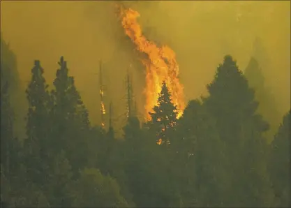  ?? NOAH BERGER — THE ASSOCIATED PRESS ?? The Windy Fire burns in Sequoia National Forest on Thursday. The fire has burned into the Peyrone Sequoia Grove and continues to threaten other sequoias, according to fire officials.