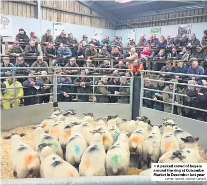  ?? Exmoor Farmers Livestock Auctions ?? A packed crowd of buyers around the ring at Cutcombe Market in December last year