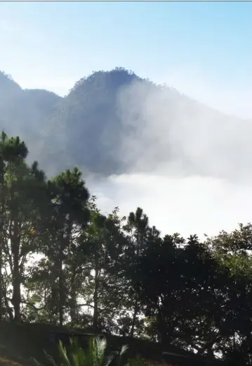  ??  ?? 1 Les trois aventurier­s d’une semaine sont venus explorer la Thaïlande pour retrouver une certaine liberté. 2 Atypiques, ces routes qui passent en plein marché. 3 Voici le genre de paysages époustoufl­ants que l’on trouve en Thaïlande. 4 La traversée des villages reculés offre une autre vision de ce pays asiatique bien loin des habituels clichés. 5 Les pluies diluvienne­s ont gonflé certains cours d’eau et ont transformé certaines routes en ruisseaux. Heureuseme­nt, les petites Honda passent partout ou presque.