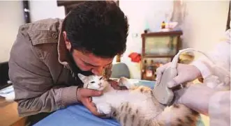  ?? AFP ?? Mohammad Ala’a Al Jaleel holds a feline patient during an ultrasound probe at Ernesto’s Cat Sanctuary that he runs in Kfar Naha.