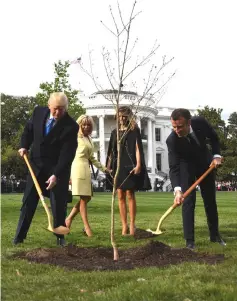  ??  ?? Trump (left) and Macron plant a tree watched by Trump’s wife Melania and Macron’s wife Brigitte on the grounds of the White House in Washington,DC. — AFP photo