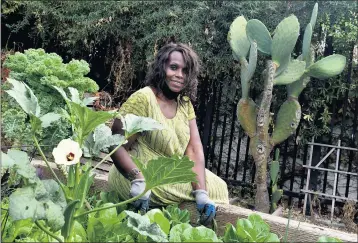  ?? KEITH BIRMINGHAM — STAFF PHOTOGRAPH­ER ?? Carrie Jones-Brown has been involved with Grace Park Community Garden for more than 10 years. A resident of North Long Beach, a neighborho­od with few options for healthful food, Brown credits gardening with improving her diet and overall health. She says she has lost weight, lowered her blood pressure and relieved stress since she started gardening.