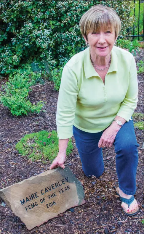  ?? WILLIAM HARVEY/RIVER VALLEY & OZARK EDITION ?? Maire Caverley of Mayflower is the 2016 Faulkner County Master Gardener of the Year. She worked on a variety of projects last year, accumulati­ng 501.75 project hours and 66 education hours. She received this etched rock to denote her recent honor.