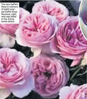  ??  ?? The new Saffie’s Rose in memory of eight-yearold Saffie-Rose Roussos, right, who was killed in the Arena bomb attack