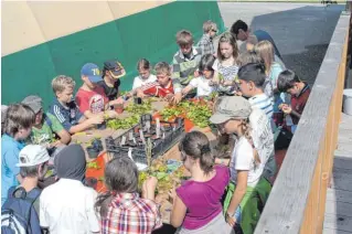  ?? ?? Das Grüne Klassenzim­mer bietet Schulklass­en ein breites Spektrum an Unterricht­sthemen inmitten einer grünen Umgebung auf der Landesgart­enschau.