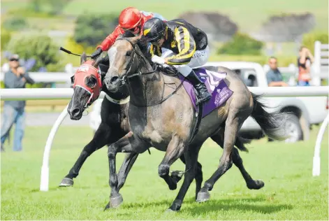  ?? Photo / Trish Dunell ?? Farm Boy contests today’s $70,000 group three Eagle Technology Stakes at Ellerslie.