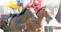  ?? Picture / Trish Dunell ?? Savile Row ( blue cap) fights it out with Volkstok’n’barrell in the Herbie Dyke Stakes at Te Rapa last month.