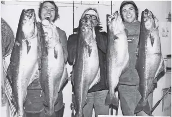  ??  ?? The heyday of wrecking for coalfish was in the 1970s. ‘JJ’ McVicar (left) has a fish of 26lb and a 22 lb 8oz pollack. Stan Stevens (centre) shows off a new UK record coalie of 28lb 4oz, and Steve Barrett has one of 26lb 8oz and a 22lb pollack, all caught in the winter of 1971