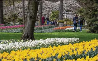  ?? PETER DEJONG/AP ?? Visitors stroll Friday at Keukenhof garden in Lisse, Netherland­s. It opened Friday to a lucky 5,000 let in only if they could show proof on a smartphone app they had just tested negative for COVID-19.