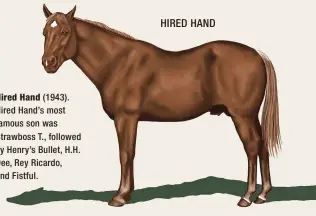  ??  ?? HIRED HAND