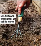  ?? ?? MILD DAYS: Wait until soil is warm