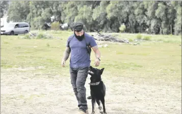  ?? PHOTO SHARON BURNS ?? Dog rescuer and trainer Chris Jimenez runs drills and commands with his best working dog, Xshusha, at K9 Connect on Friday, February 3, in San Diego County.