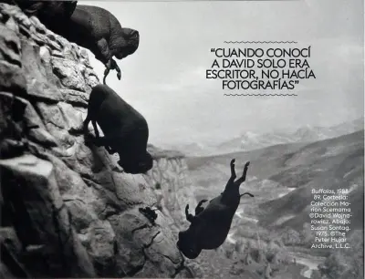  ??  ?? Buffalos, 198889. Cortesía: Colección Marion Scemama ©David Wojnarowic­z. Abajo: Susan Sontag. 1975. ©The Peter Hujar Archive, L.L.C.