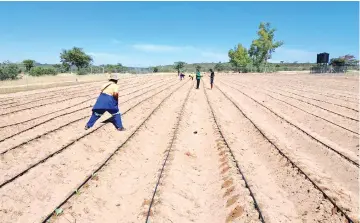  ?? ?? One of the 24 model village business units establishe­d in Buhera District