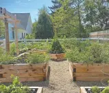  ??  ?? Top, Smith Crossing resident Alice Lysek’s patio is planted each May by her family. Bottom left, a whimsical container brings a smile to the face. Right, raised vegetable beds are filled with organic plantings.