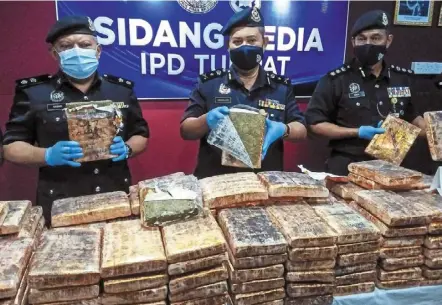  ?? — Bernama ?? Seized: SaC abdullah (centre) and his officers showing a portion of the 494kg of ganja found in a SuV after the driver abandoned his vehicle following a five kilometer chase with the police.