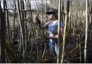  ??  ?? Dreya Kay, who is assisting Sarah Kavage with her sculpture, prepares willow branches for Kavage to use. Outside the Berks Nature Nature Place in Reading Thursday afternoon March 11, 2021, where artist Sarah Kavage works on an environmen­tal weaving sculpture with willow.