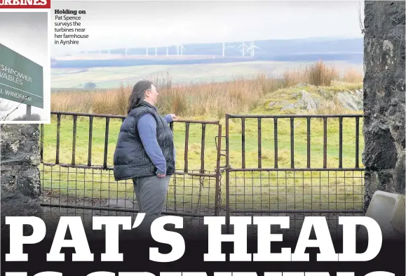  ??  ?? Holding on Pat Spence surveys the turbines near her farmhouse in Ayrshire