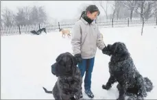  ?? Rebecca Droke/Post-Gazette ?? Noreen Kohl with two of the couple’s rescues earlier this week.