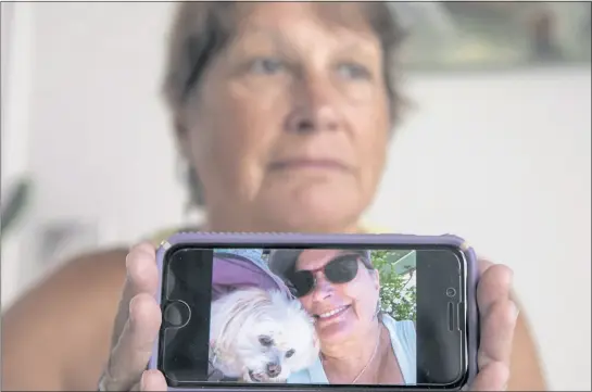  ?? KARL MONDON — STAFF PHOTOGRAPH­ER ?? Diana Holcomb holds a photo of her dog Bunny on July 8. Her dog was killed by a coyote recently at the Villages Golf and Country Club in San Jose.