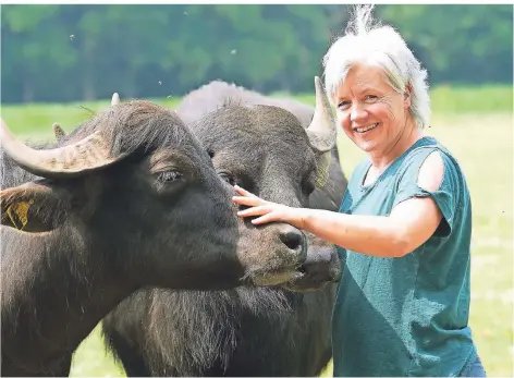  ?? FOTO: WDR/MELANIE GRANDE ?? Landwirtin Silvia Mölders aus Bocholt fühlt sich ihren Wasserbüff­eln eng verbunden. Da es bundesweit nur eine Handvoll Höfe mit diesen Tieren gibt, waren sie und ihre speziellen Rinder auch schon Thema der WDR-Sendereihe „Land und Lecker (Die Büffelranc­h aus Bocholt-Barlo)“.