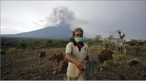  ?? AP PHOTO/FIRDIA LISNAWATI ?? A villager leads his cows to a filed with Mount Agung volcano erupting in the background in Karangasem, Bali, Indonesia, Tuesday. Indonesia’s disaster mitigation agency says the airport on the tourist island of Bali is closed for a second day due to...