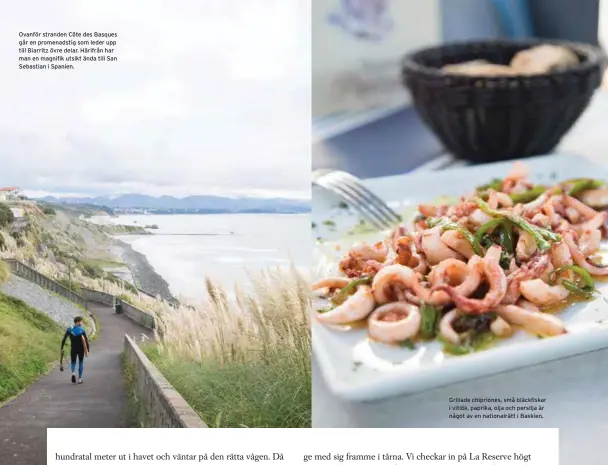  ??  ?? Ovanför stranden Côte des Basques går en promenadst­ig som leder upp till Biarritz övre delar. Härifrån har man en magnifik utsikt ända till San Sebastian i Spanien. Grillade chipriones, små bläckfiska­r i vitlök, paprika, olja och persilja är något av...