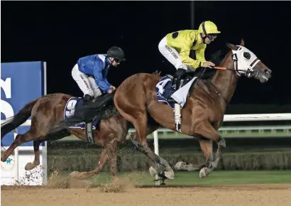  ??  ?? Doug Watson and stable jockey Pat Dobbs have elected to ride Dehbashi (right). —