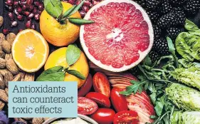  ??  ?? Antioxidan­ts can counteract toxic effects