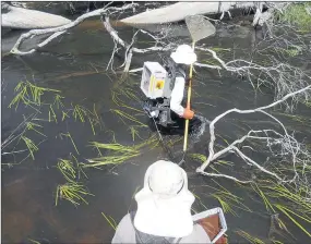  ??  ?? DISCOVERY: Arthur Rylah Institute fish ecologist Joanne Sharley and Scott Raymond during surveys of Mackenzie River and Burnt Creek.