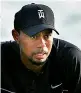  ?? Tiger Woods ??