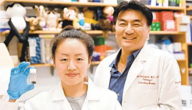  ?? TOM GRALISH/THE PHILADELPH­IA INQUIRER ?? University of Pennsylvan­ia scientists Ruth Choa and Taku Kambayashi induced obese mice to lose 40% of their body weight by secreting fat through their skin. Choa holds a vial of shaved mouse hair.