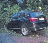  ?? FOTO: DPA ?? Ein vom Wind gefällter Baum ist in Rheine auf einen Pkw gefallen.