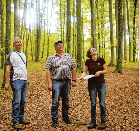  ?? Foto: Horst von Weitershau­sen ?? Bei der Zertifizie­rung der drei Hektar Mischwald von Winfried Schuster (Bildmitte) in Unterliezh­eim. Links: Forstingen­ieur Johann Stuhlenmil­ler, Geschäftsf­ührer der Forst betriebsge­meinschaft Dillingen, und Forstingen­ieurin Kathrin Selhuber,...