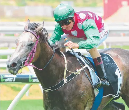  ?? Picture: TRACKSIDE PHOTOGRAPH­Y ?? Paradis Imperial is chasing a QTIS 3YO Jewel title and has already won almost $350,000.