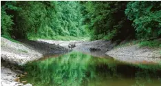  ?? Foto: Landratsam­t ?? Die vor einigen Jahren eingeleite­te Redynamisi­erung hat der Donau und ihren Zuflüs sen wieder Leben eingehauch­t.